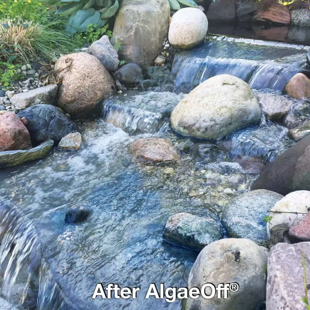 crystalclear-algaeoff-after-1000__16658.webp
