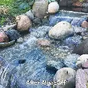 crystalclear-algaeoff-after-1000__16658.webp