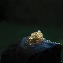 FOUNTAIN_LIGHT_BEAUTY_2000x2000(1).webp