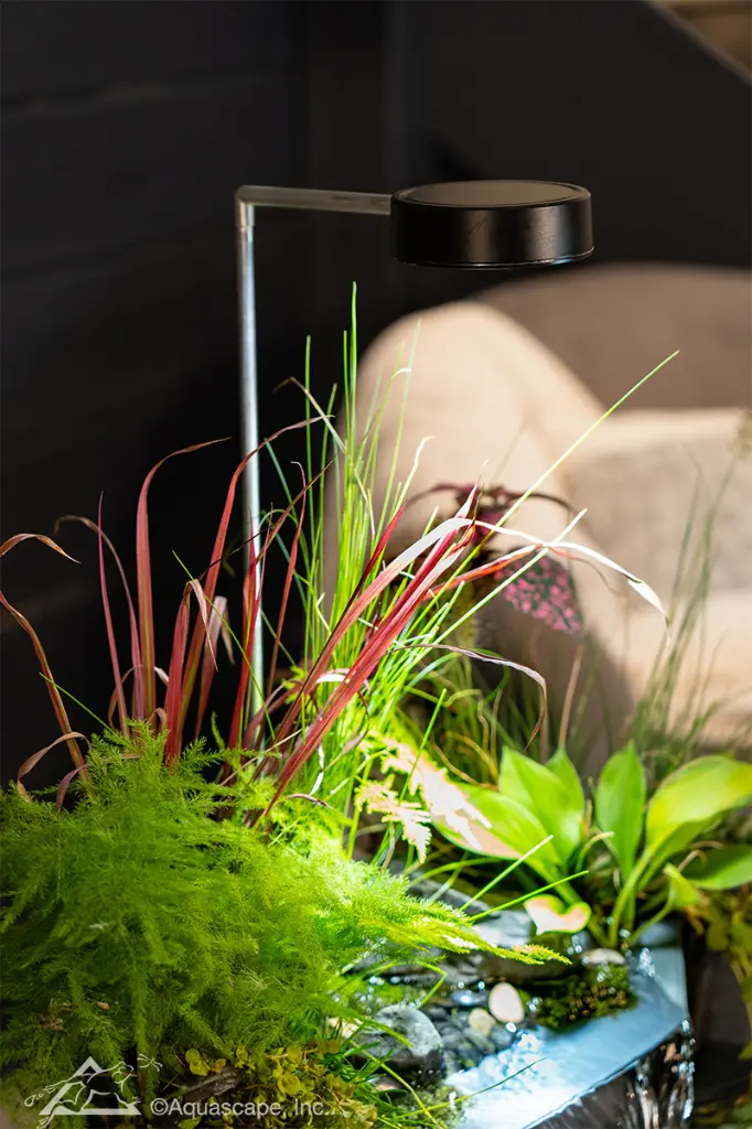 78332 aquagarden-plant-light.webp