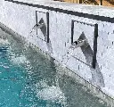 SWS2DN_StainlessSteel_WallScupper_Diamond_InUse-copy.webp