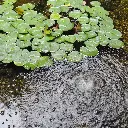 image_1920