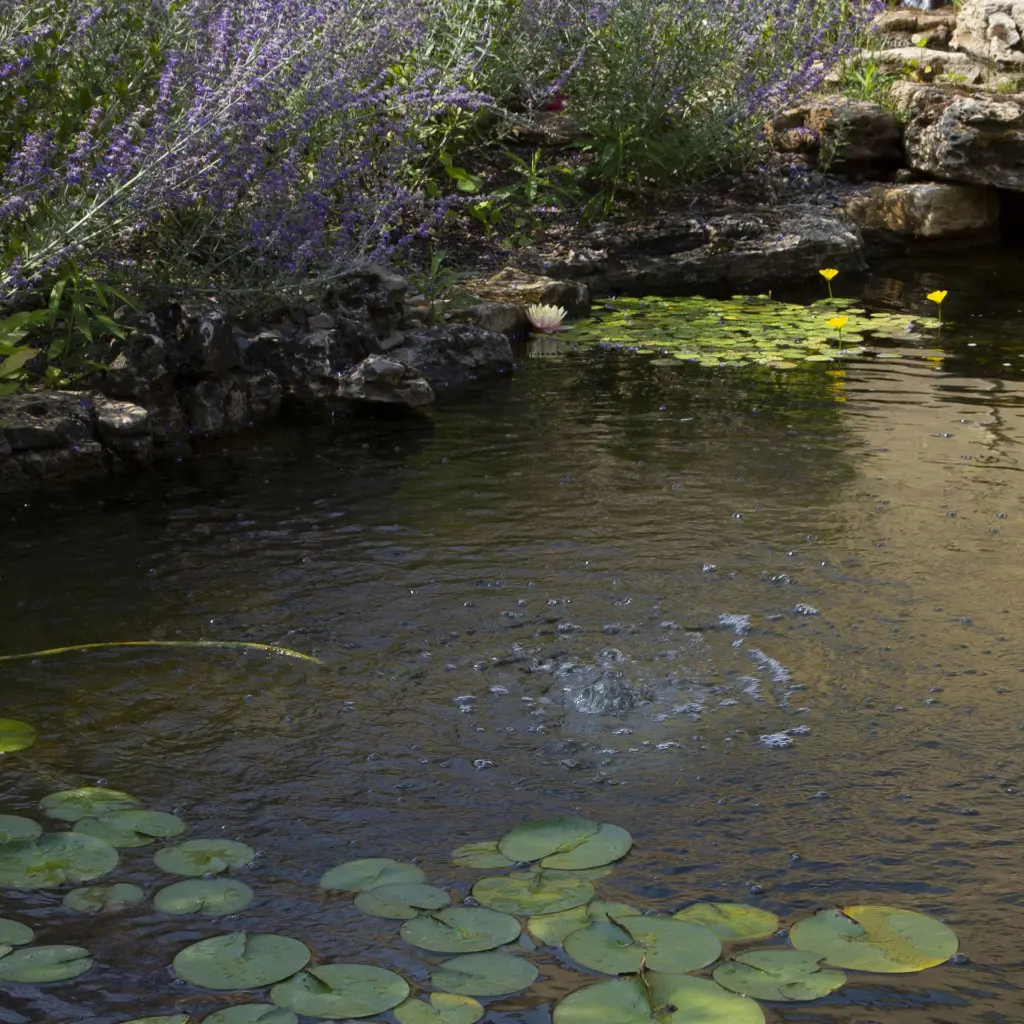 TA1800-TA3600_BEAUTY_2_2000x2000 copy(1).webp