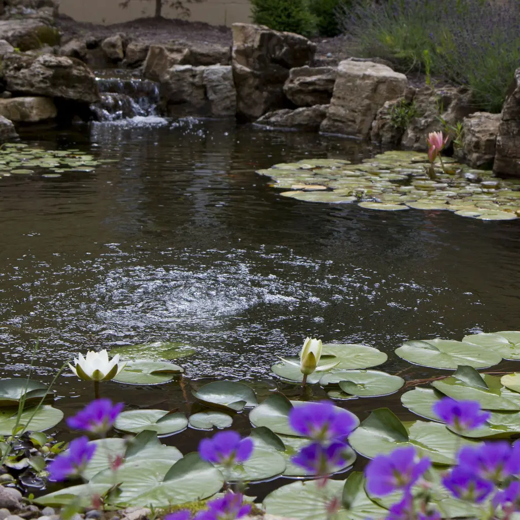 TA1800-TA3600_BEAUTY_1_2000x2000(1).webp