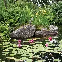 image_1920