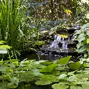 image_1920