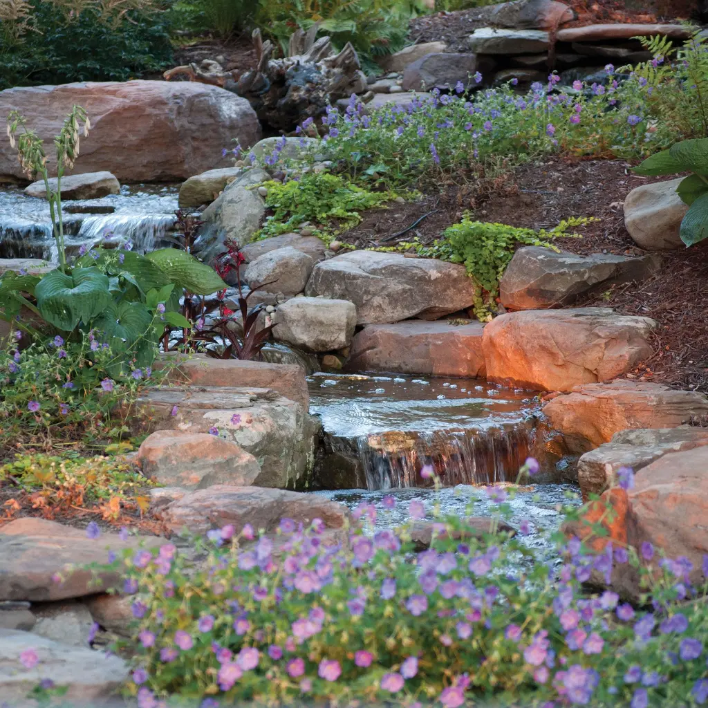 PONDFREE_BEAUTY_3_2000x2000.webp