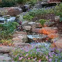 PONDFREE_BEAUTY_3_2000x2000.webp