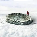 81JZzbjntYL._AC_SL1500_.webp