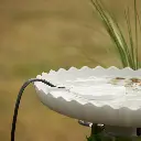61PhjRXph0L._AC_SL1500_.webp