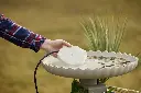616t6VzsXTL._AC_SL1500_.webp