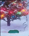 81rR2VkIRiL._AC_SL1500_.webp