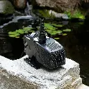 91zcORLvWvL._AC_SX679_.webp