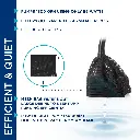 81W22IWbV5L._AC_SL1500_.webp
