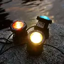 81xMFf22FjL._AC_SL1500_.webp