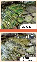 81dZB5TeT1L._AC_SL1500_.webp