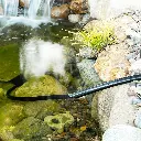 91IdYexcAfL._AC_SL1500_.webp