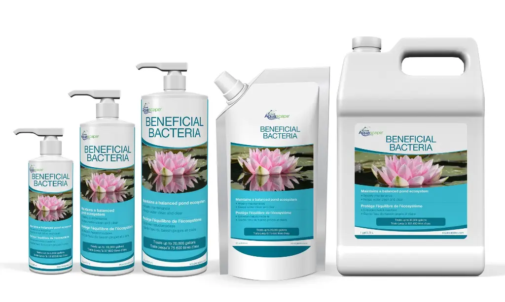 98885_FAMILY_300dpi_BeneficialBacteria.webp