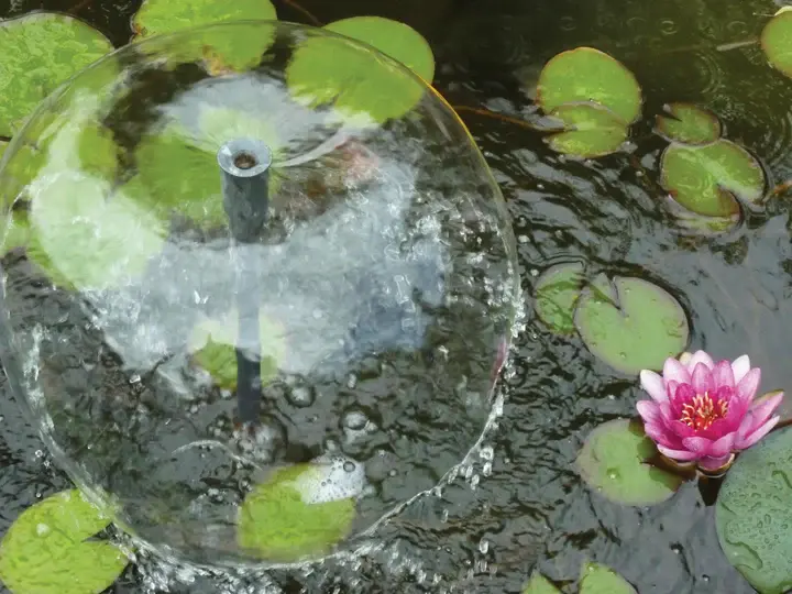 Eco_20Fountain_20Pump_20Image_8b86f79a-cc7f-465a-96a4-197066952140_720x.webp