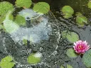 image_1024