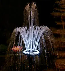image_256