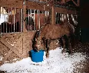 91wJ6hiy8uL._AC_SL1500_.webp