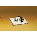 API-Small-Heated-Pet-Bed-Machine-Washable-Electric-Pet-Bed-Great-for-Dogs-Cats-and-Other-Pets-and-Animals-Item-No-12PB-S_b9fa0027-2395-4bdf-9302-218a06338607.0e45c58a86aee915a2748d44389ed6a9.webp