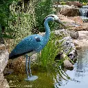 51001066.webp
