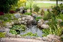 image_1920