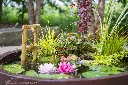 51508100.webp