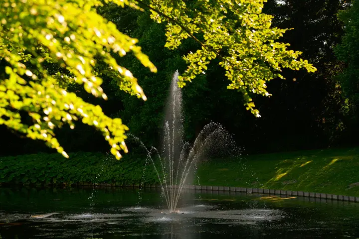 image_1024