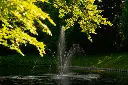image_1024