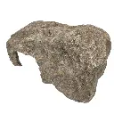 1243549928.webp