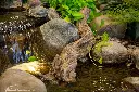 51507475.webp