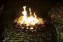 51508388.webp