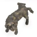 51508289.webp