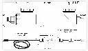 Screenshot 2024-12-17 at 7.14.04 PM.webp