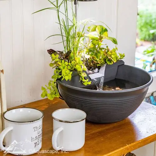 aquagarden-tabletop-fountain-kit2-550x825.webp
