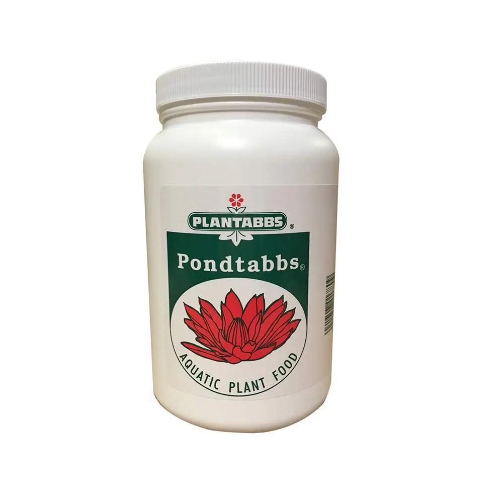 51IC-CNDawL._SL1000_.webp
