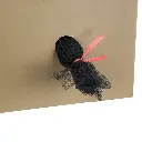 51002366.webp