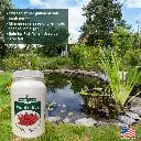 image_1024