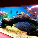 71PcYy04dJL._AC_SL1000_.webp