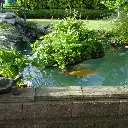 81XUnY1N7qL._AC_SL1000_.webp
