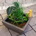 91Svd5FWCeL._AC_SL1500_.webp