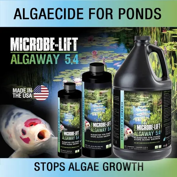 ALGAGALv2.webp