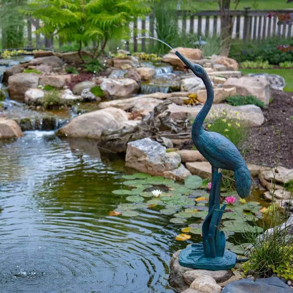 61HHF3c0XCL._AC_SL1000_.webp