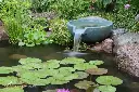 78355-Spillway-Bowl-1116x744.webp