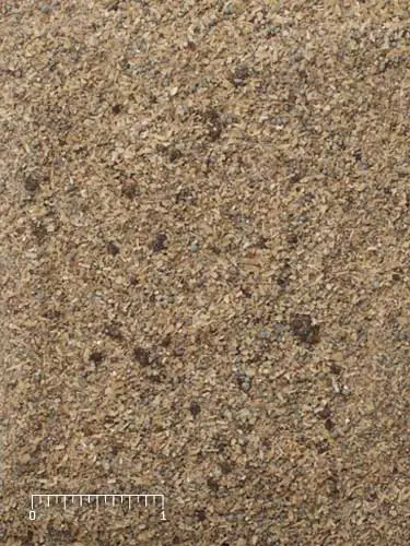 56CB-375x500.webp