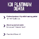 Koi_platnium_ogata_final_FB.webp