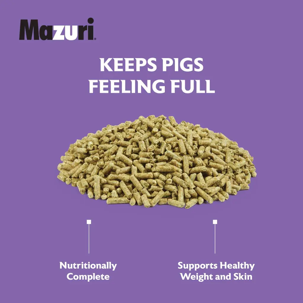 2022_Mazuri_Mini-Pig-Mature-Maintenance_5Z4C_feed-image.webp